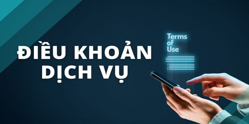 Giới thiệu về điều khoản dịch vụ 8xbet